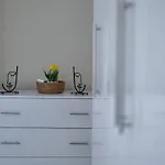 Tulips * Durrës